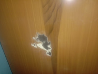 Ratnesh Shrivastava review om packers